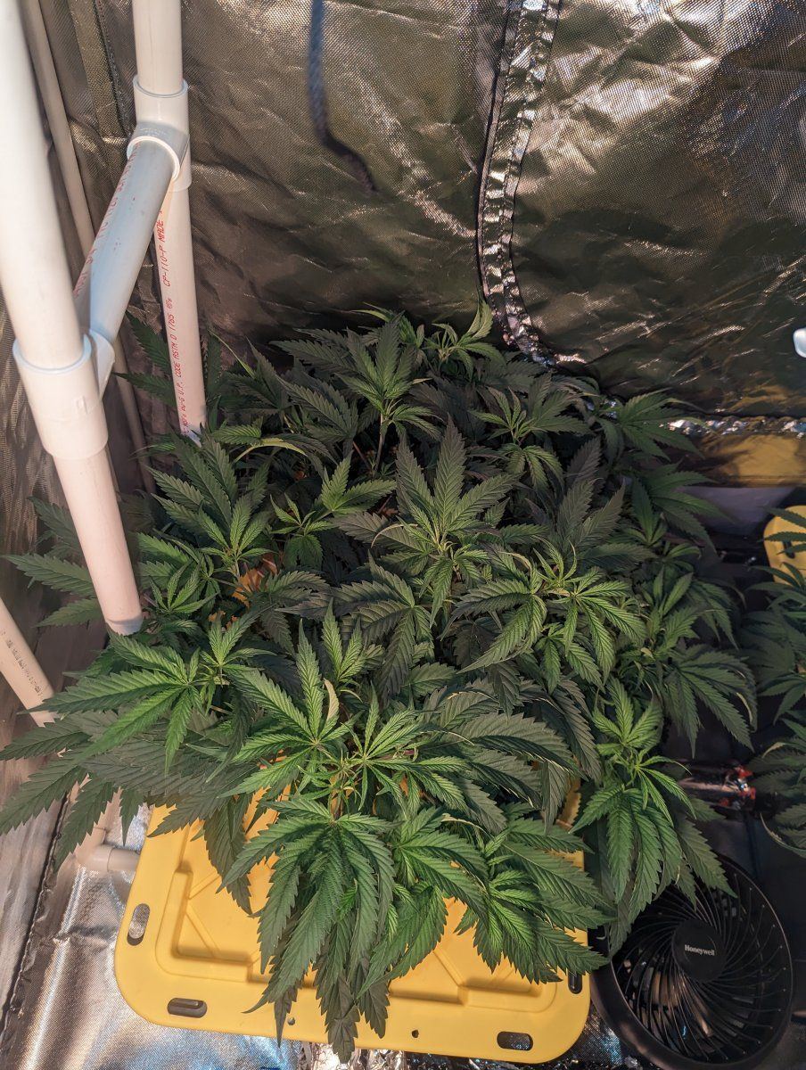 PXL 20230313 200521196
