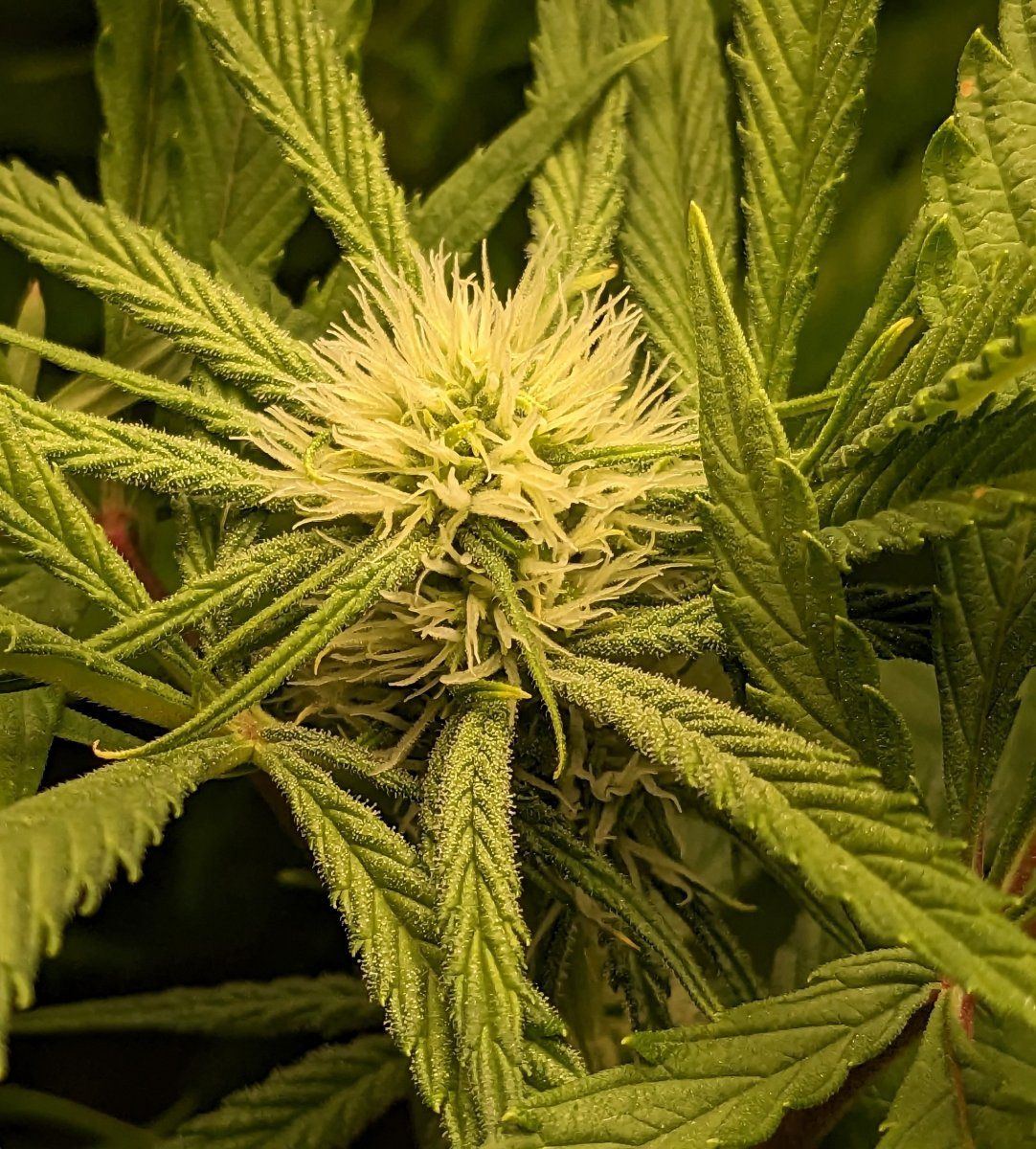 PXL 20230429 174606039