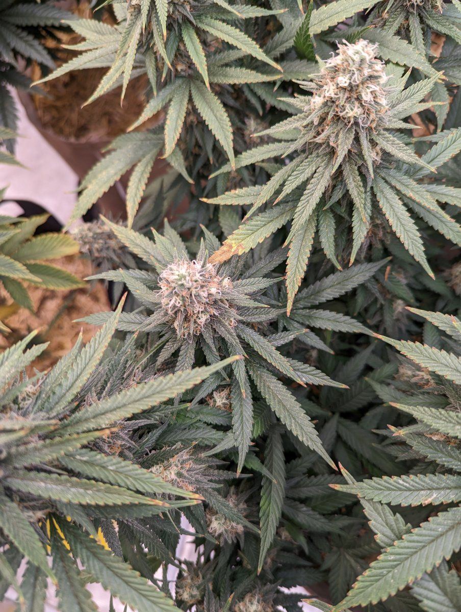 PXL 20230430 014518673