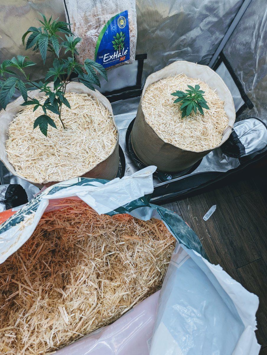 PXL 20230630 170333567