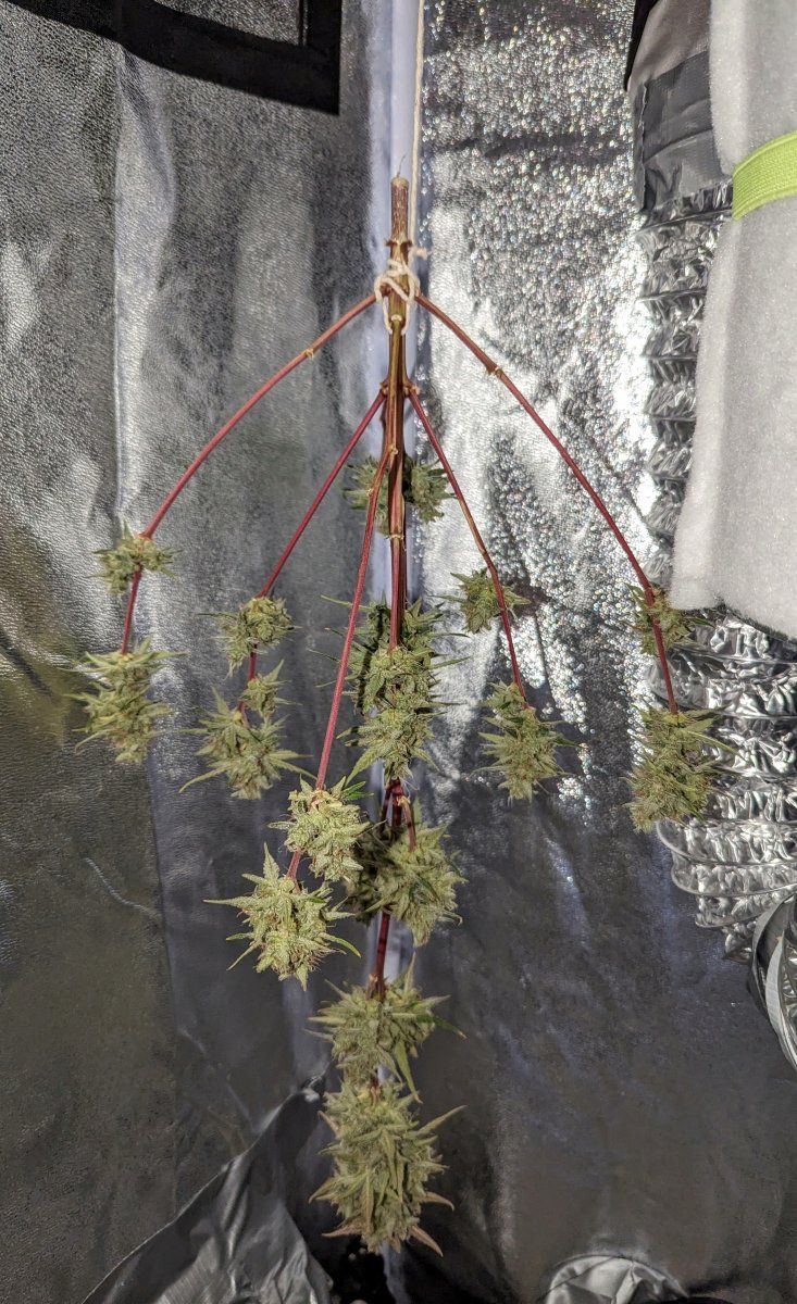PXL 20230707 091158637