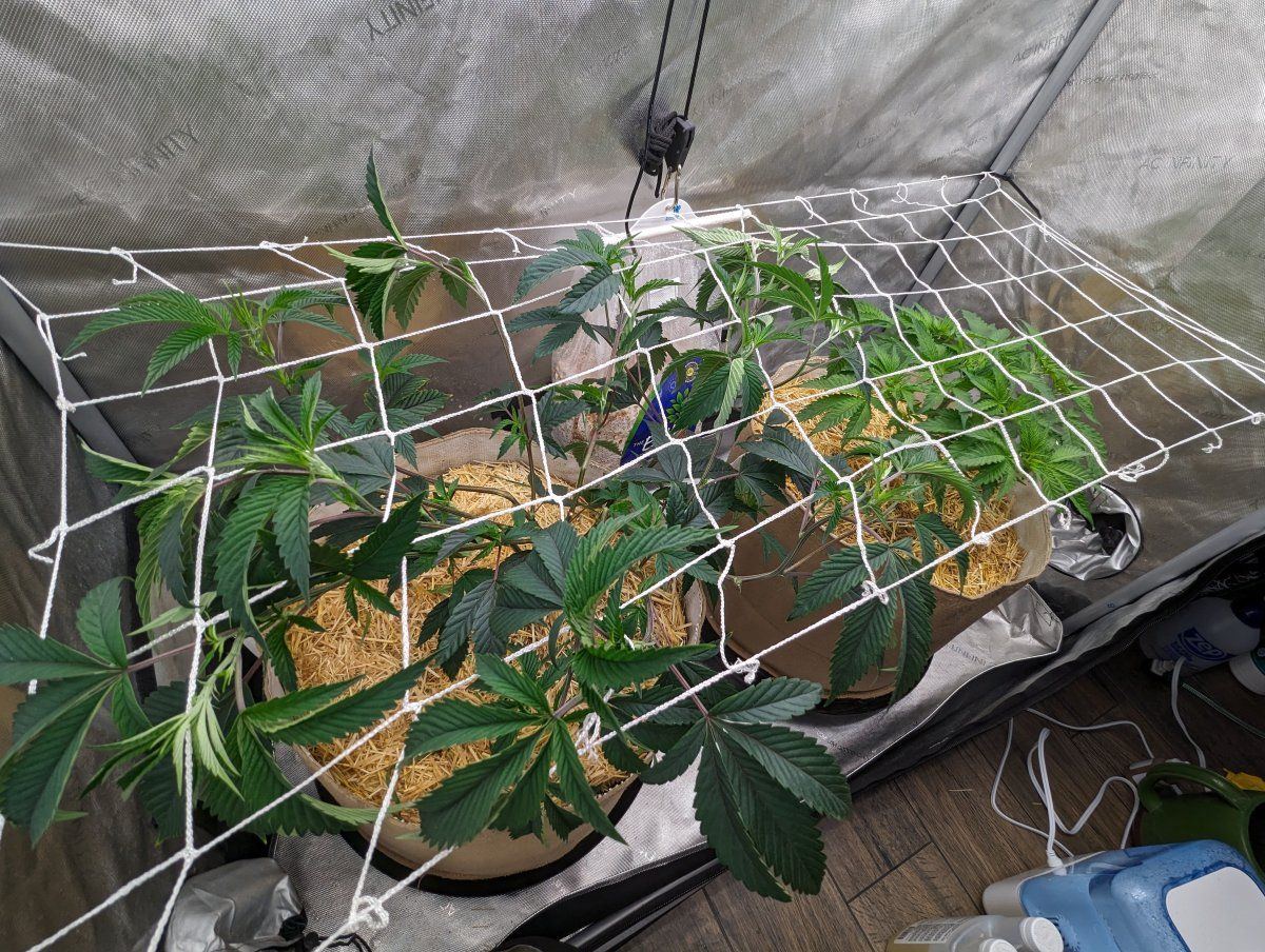 PXL 20230714 155014537