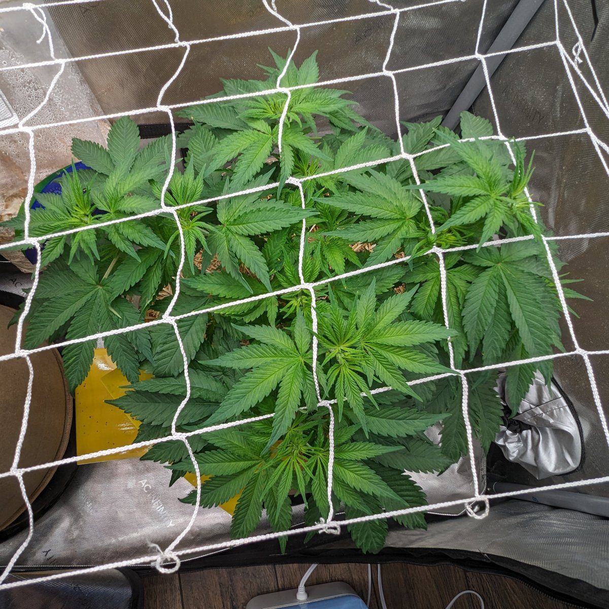 PXL 20230718 193428718