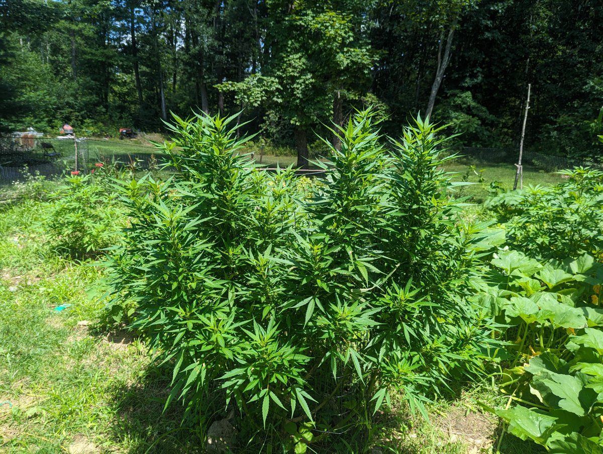 PXL 20230722 171451477