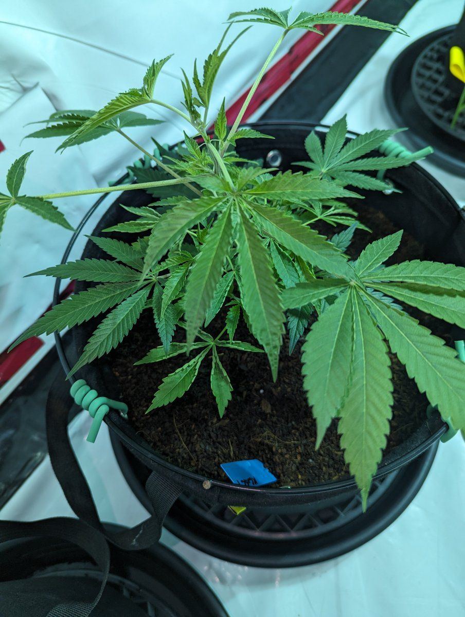 PXL 20230725 110329643