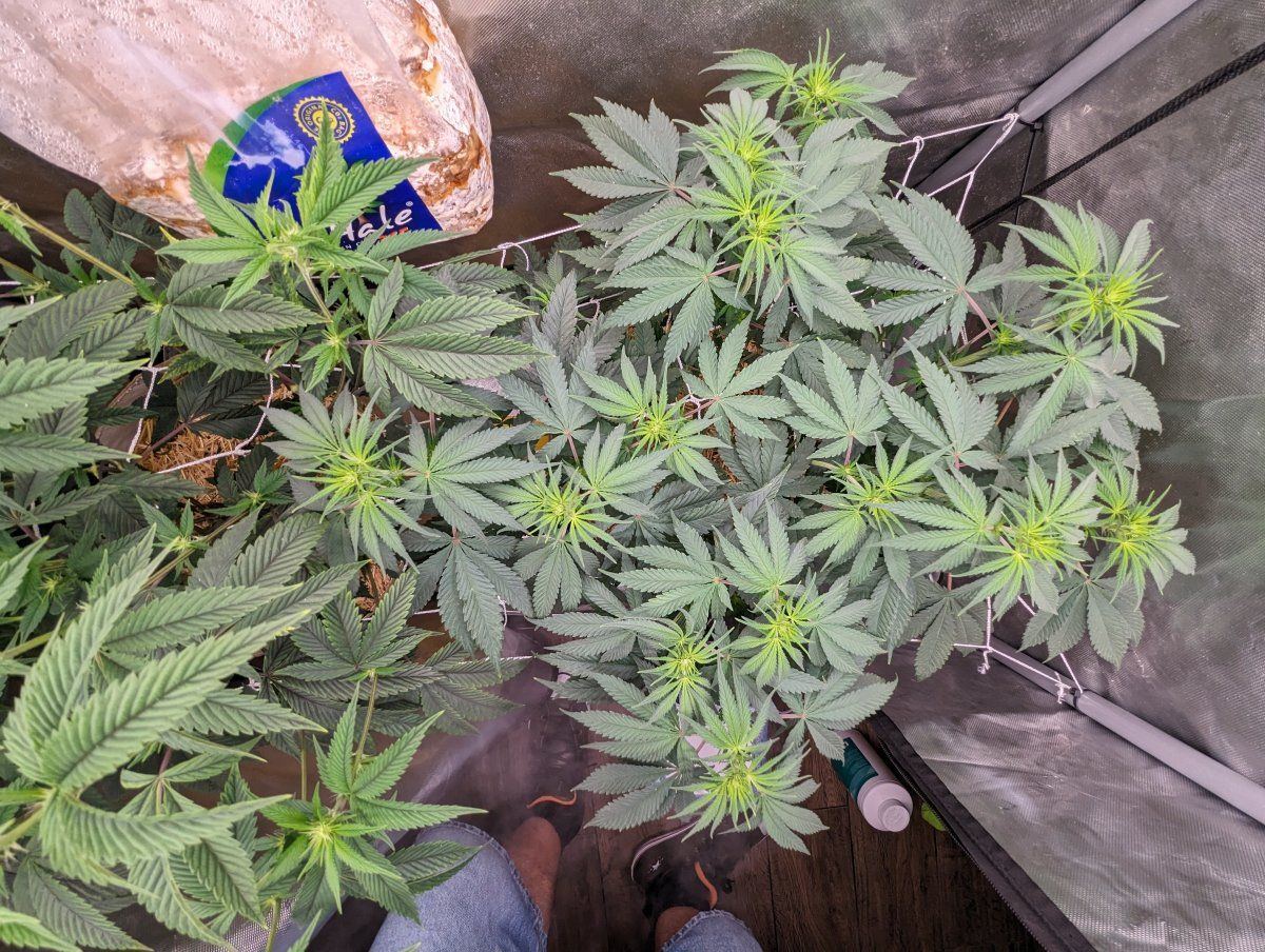 PXL 20230727 193046162