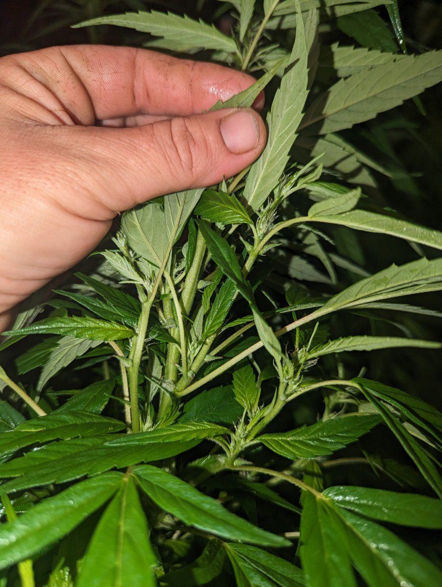 PXL 20230728 001713413