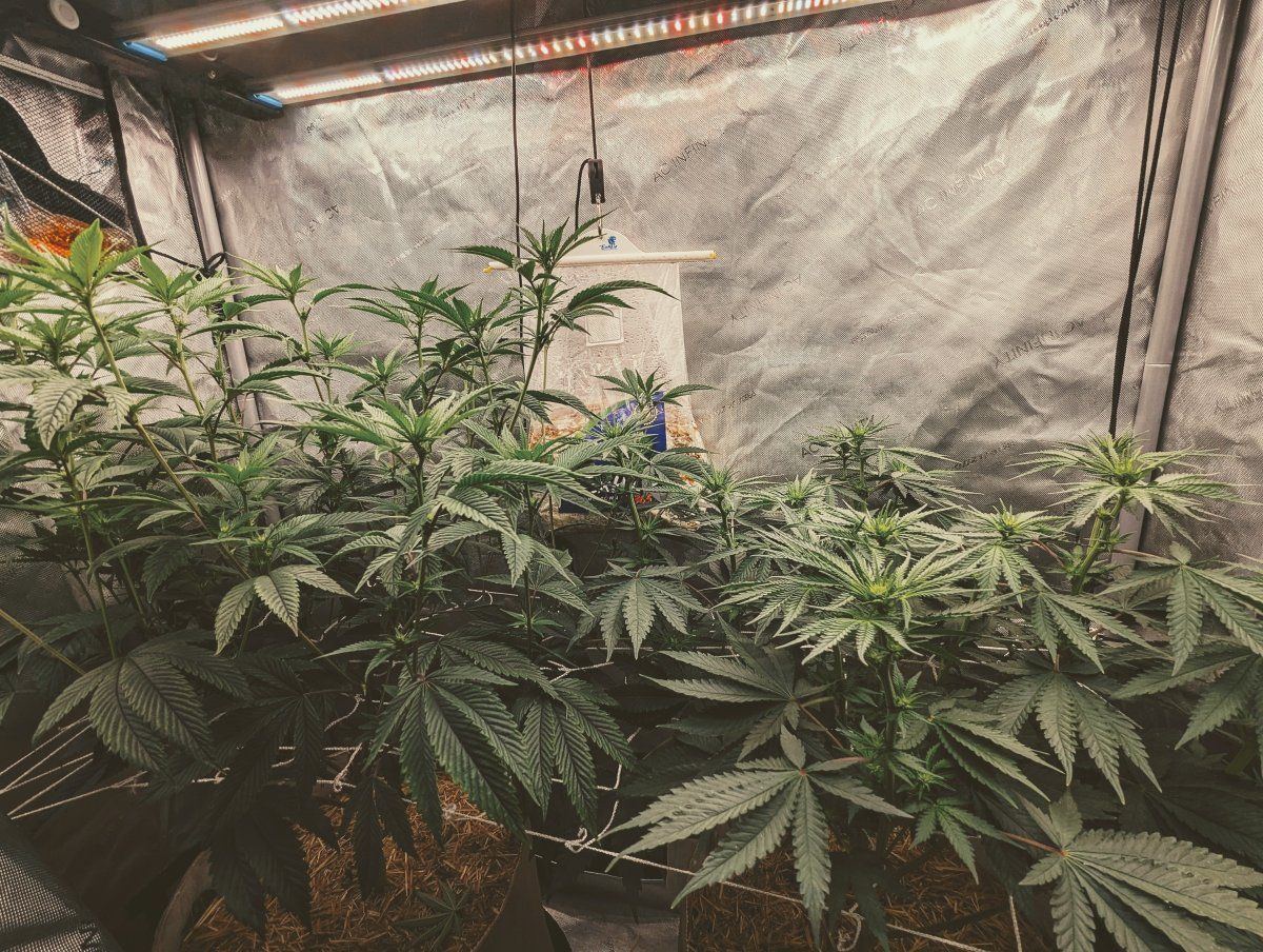 PXL 20230728 2019289972