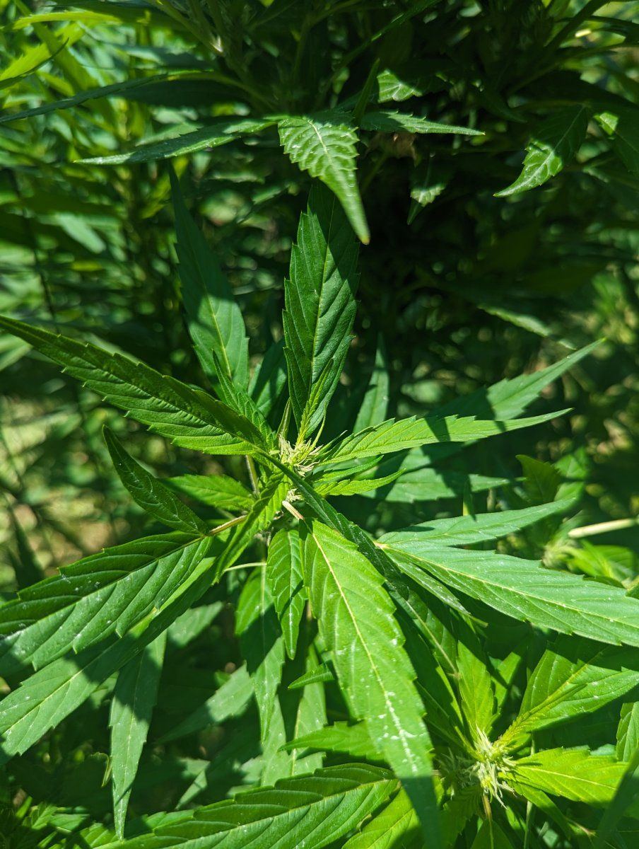 PXL 20230805 171510980