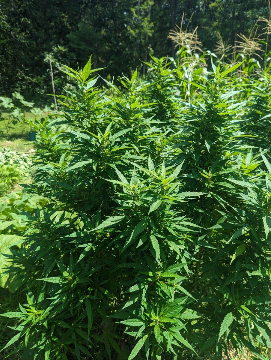 PXL 20230805 171525248