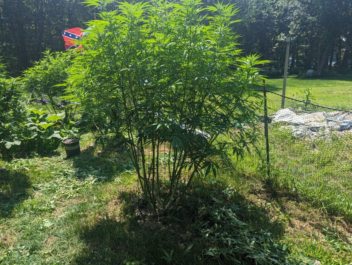 PXL 20230805 171539161