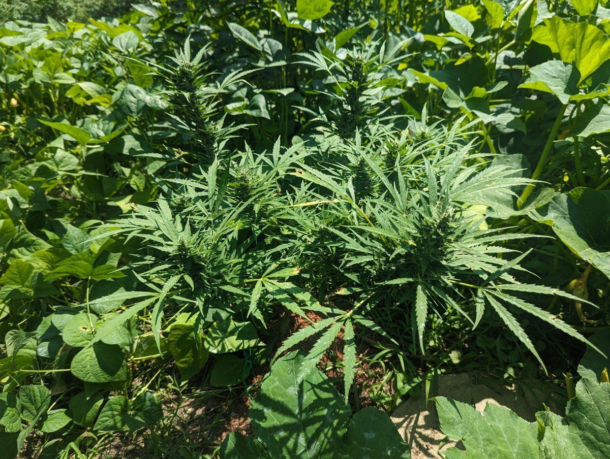 PXL 20230805 171553694