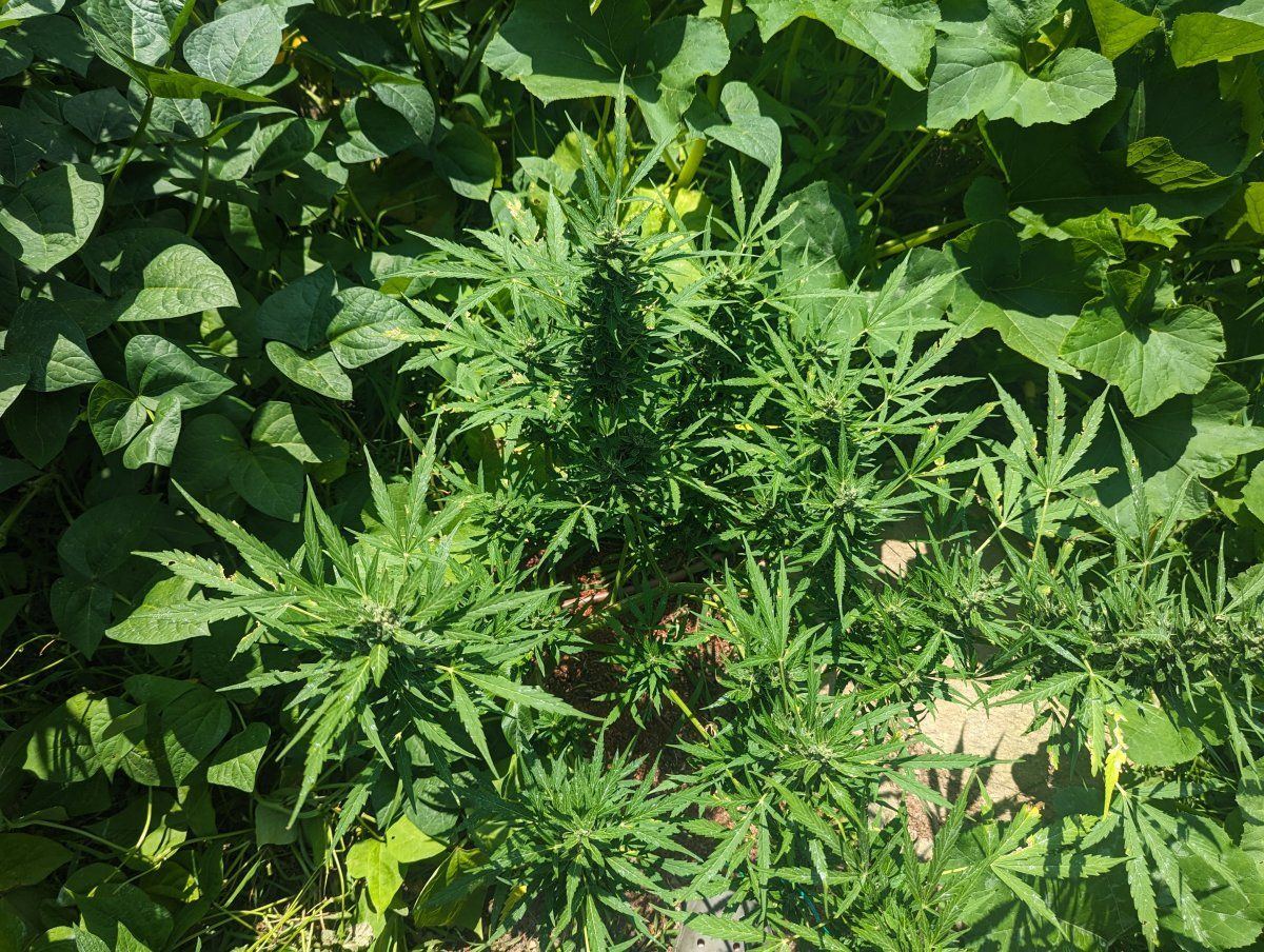 PXL 20230805 171609034