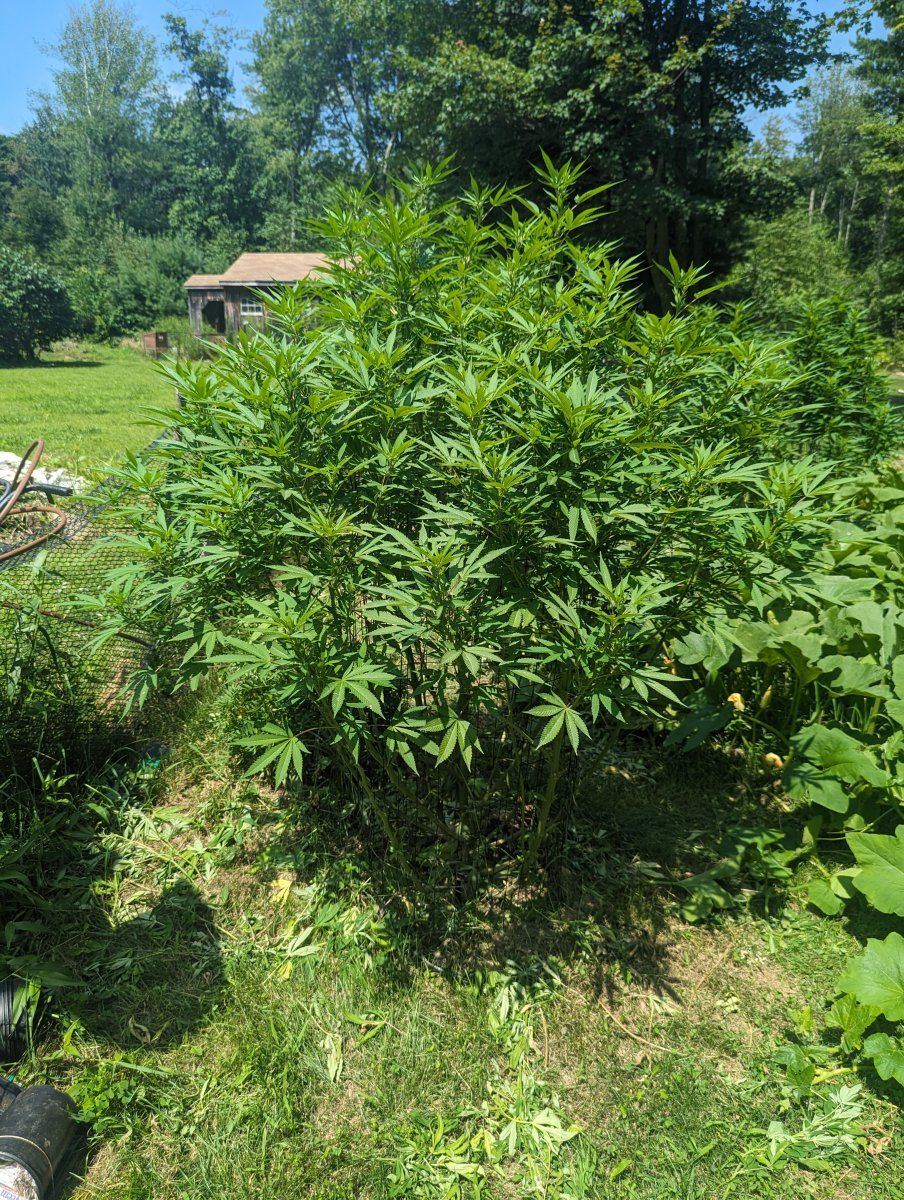 PXL 20230805 171937766