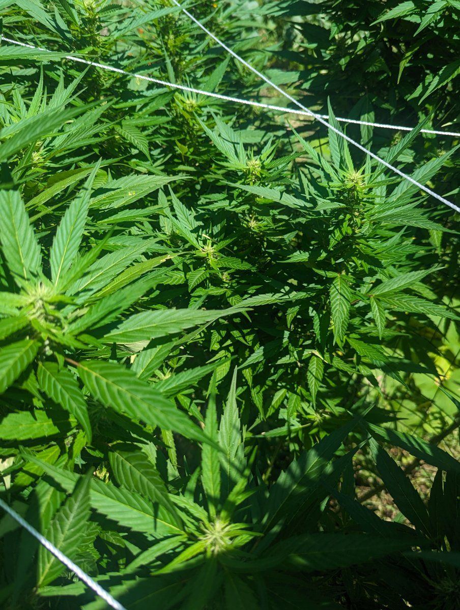 PXL 20230818 164815046