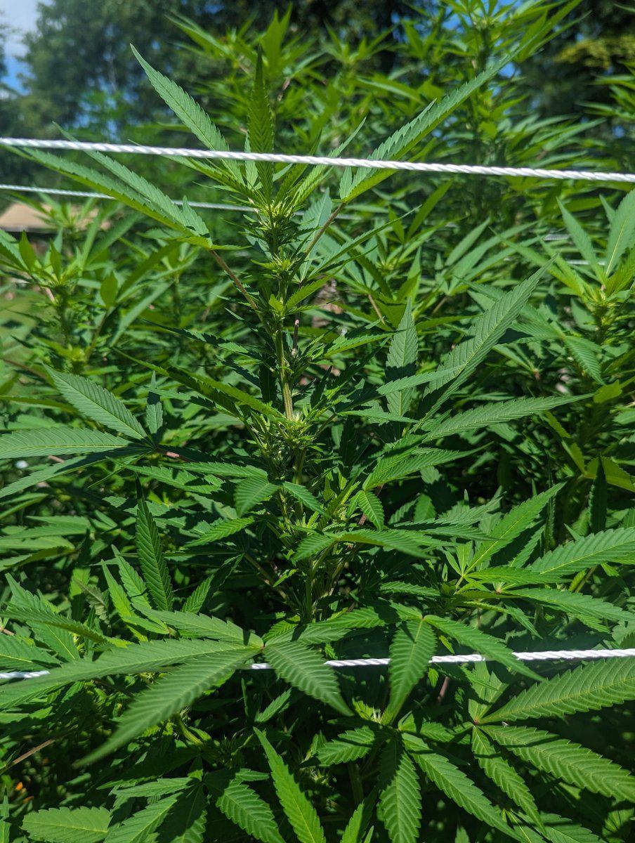 PXL 20230818 164925935