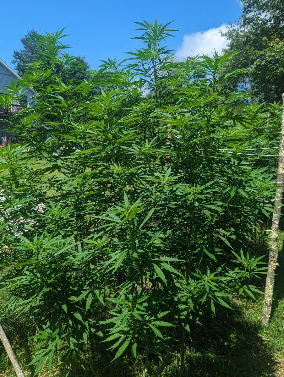 PXL 20230818 164955087