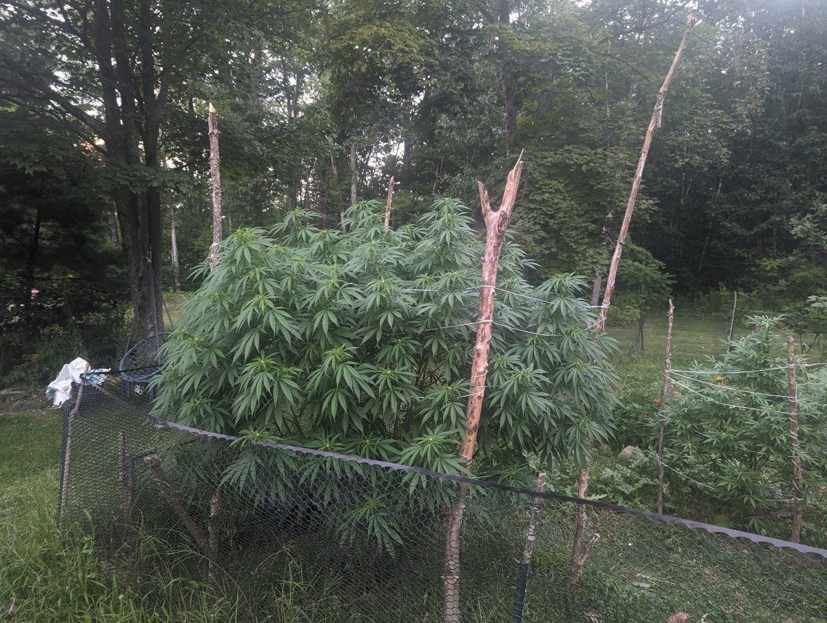 PXL 20230827 232742567