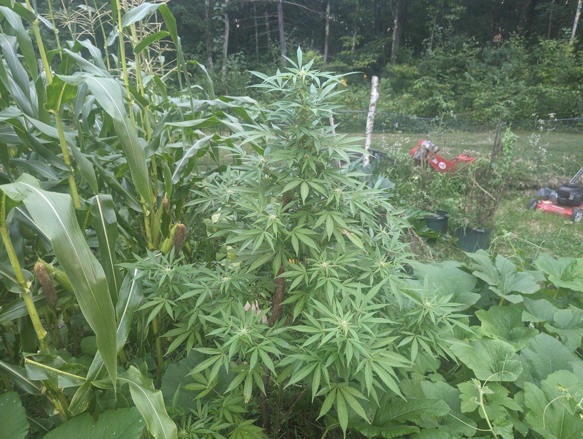 PXL 20230827 232805253