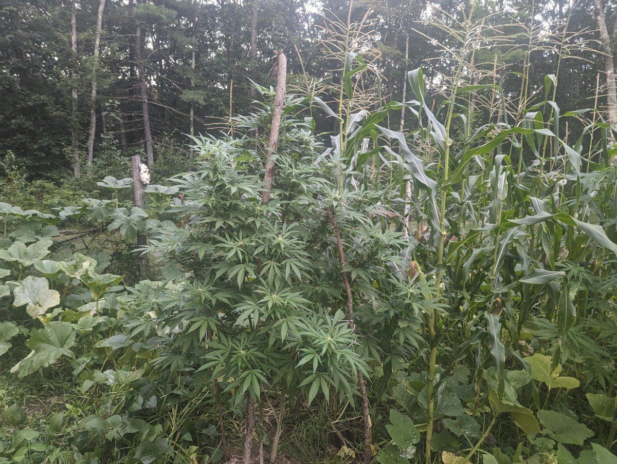 PXL 20230827 232817965