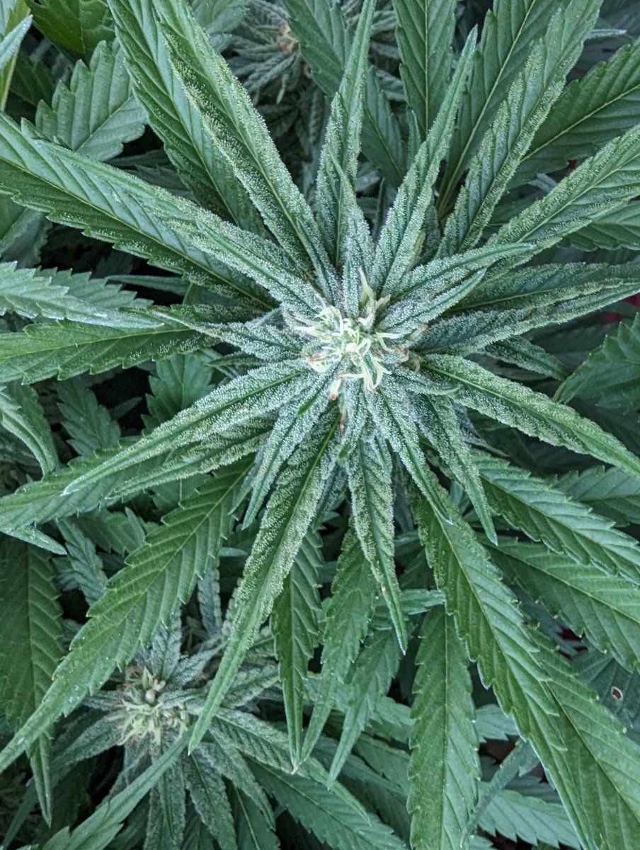 PXL 20230908 012234918
