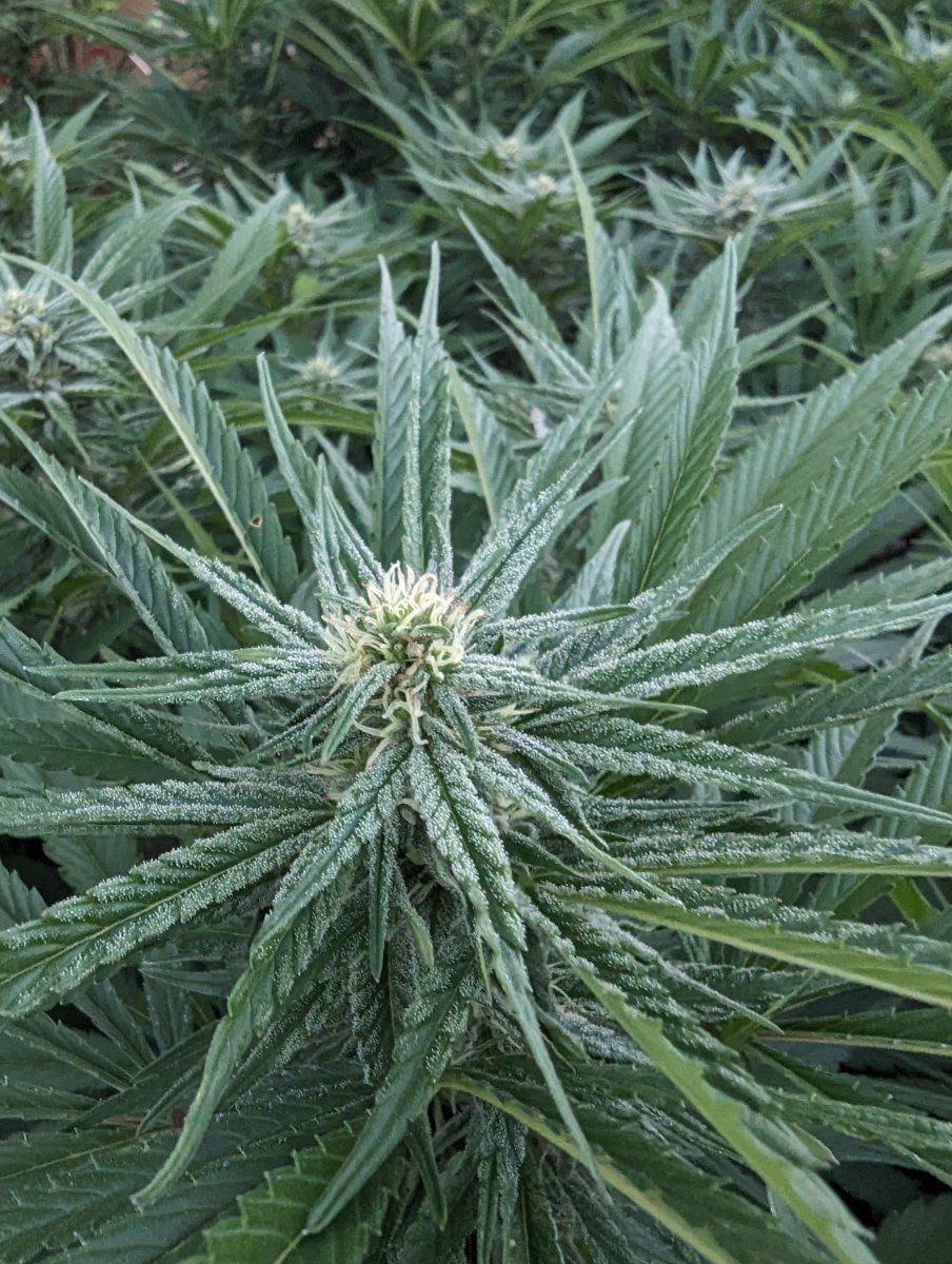 PXL 20230908 012331253