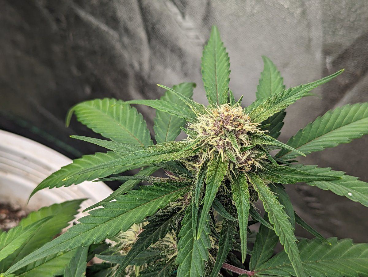 PXL 20230916 170045048
