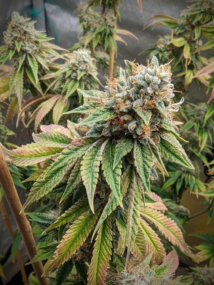 PXL 20230917 1521073022
