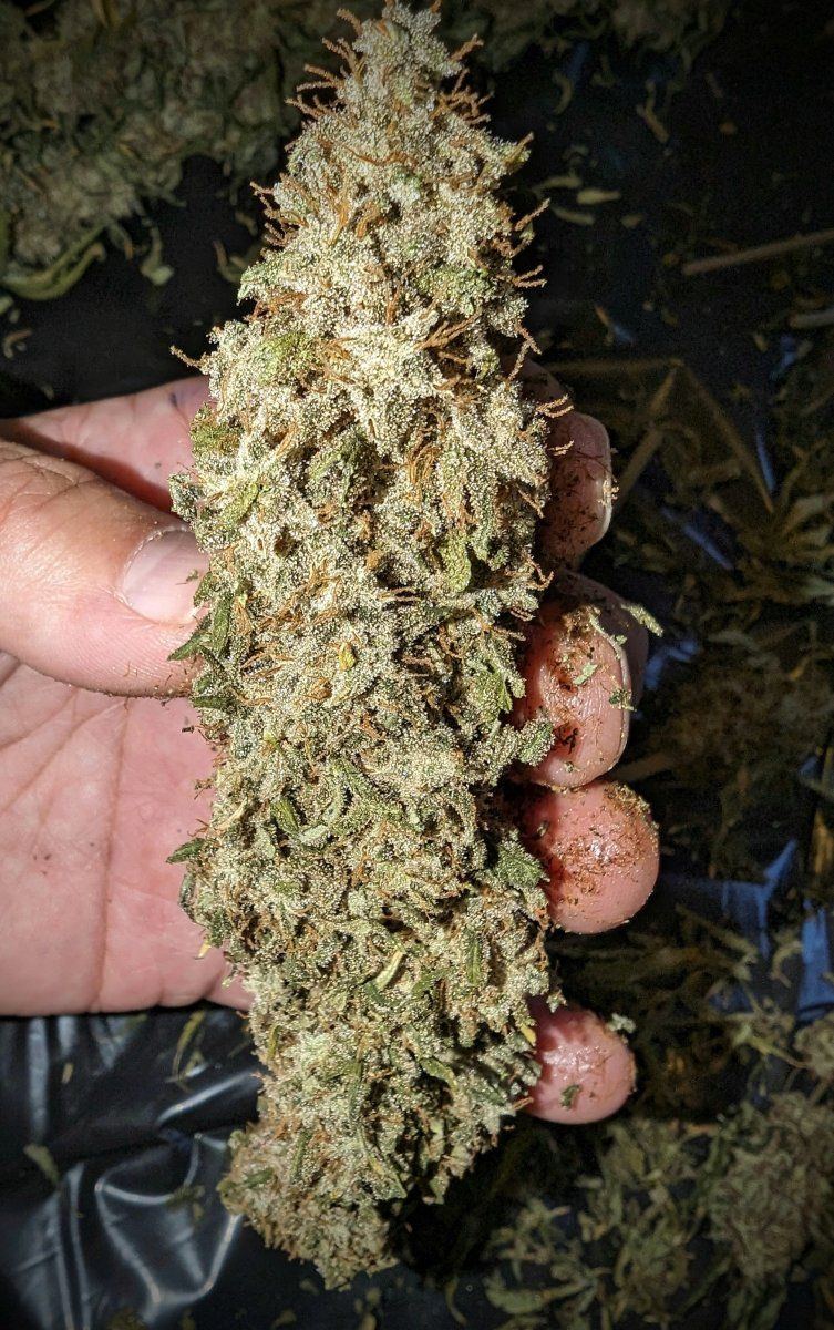 PXL 20231007 2107265582