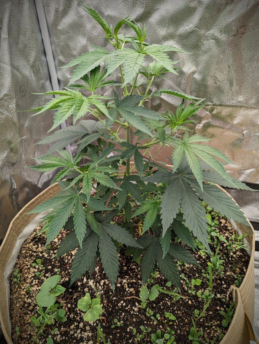 PXL 20231008 1608398942