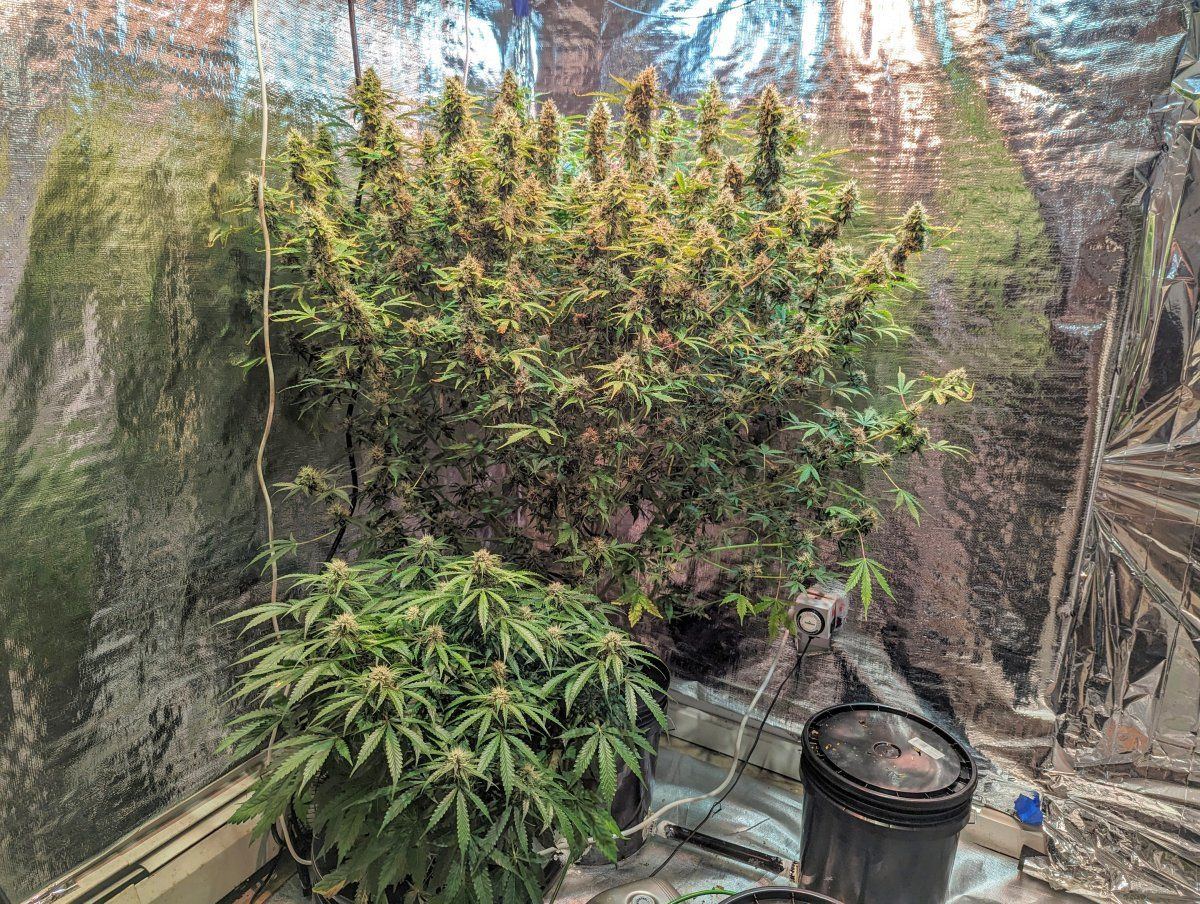 PXL 20231105 150627416