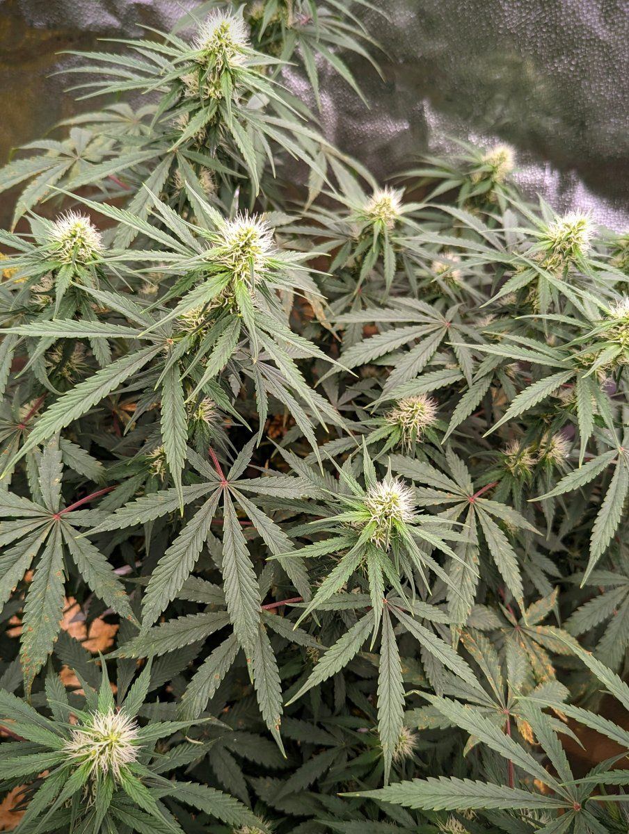 PXL 20231107 0235516632