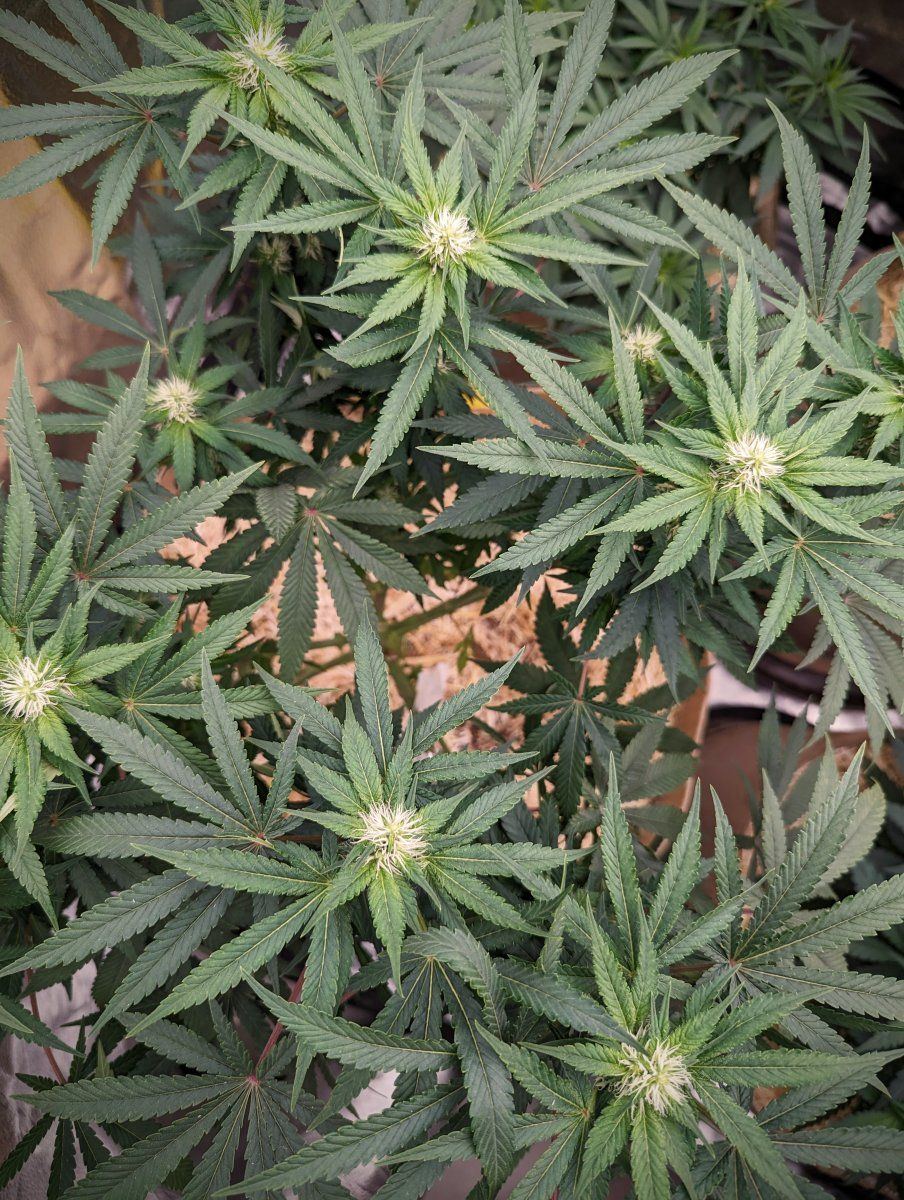 PXL 20231110 0306544932