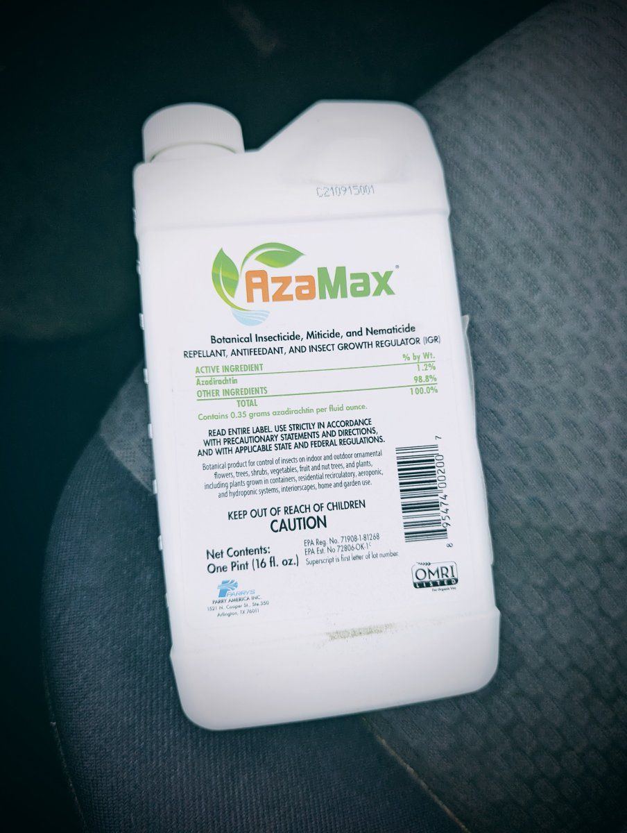 PXL 20231121 002507827