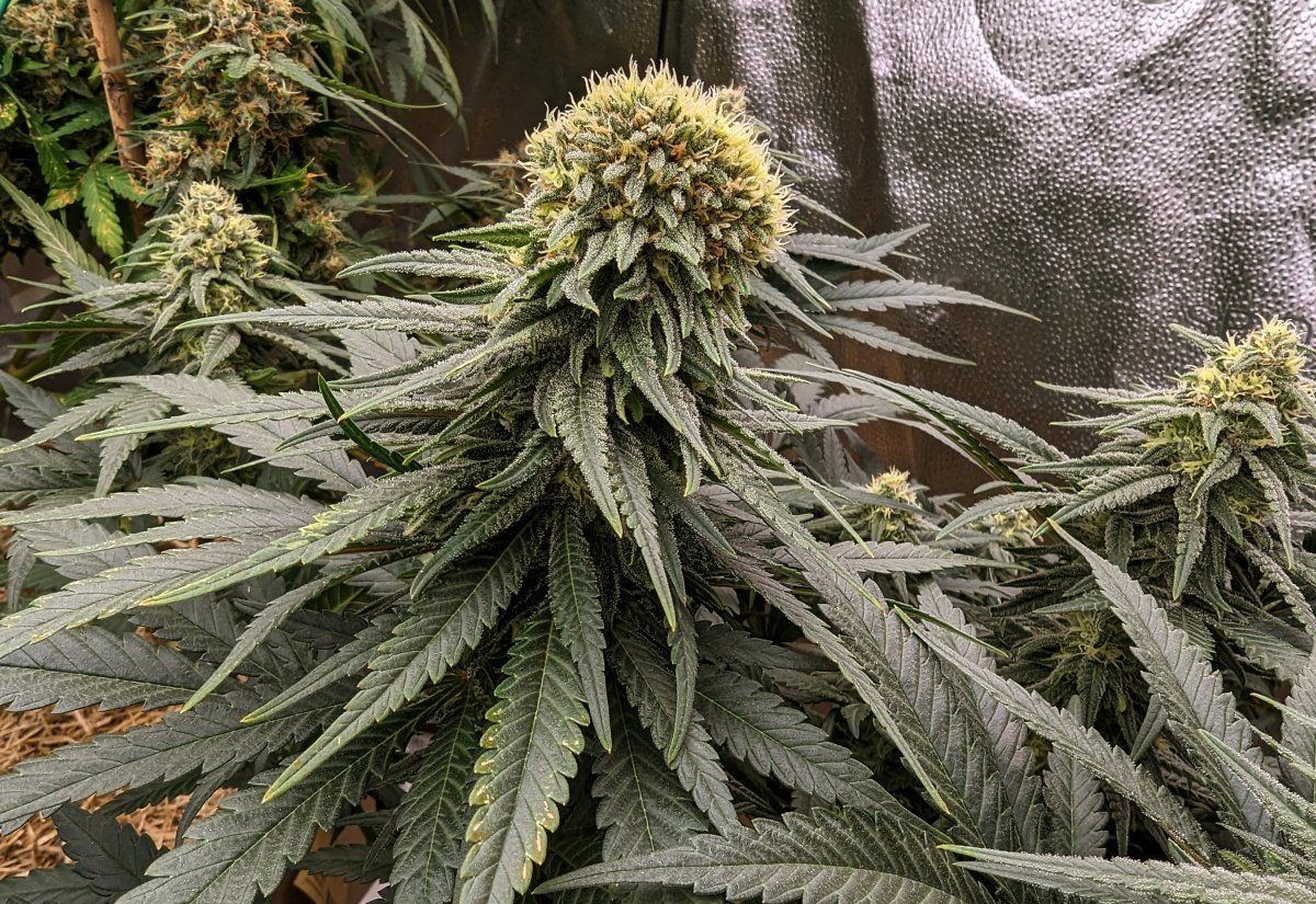 PXL 20231210 0456031672