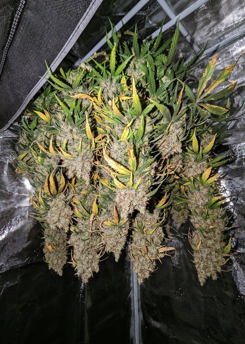 PXL 20231224 052837150