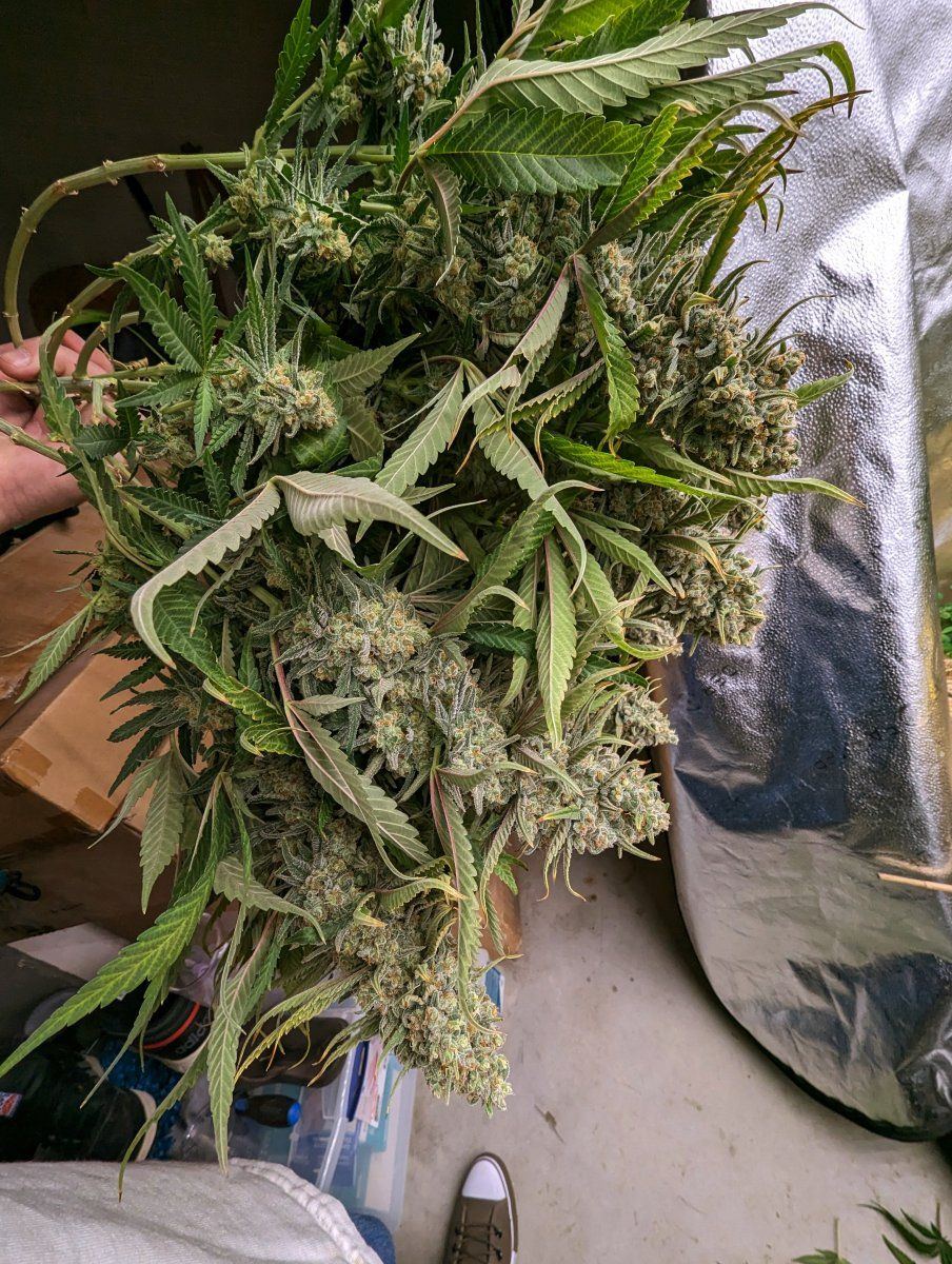 PXL 20231230 040053345