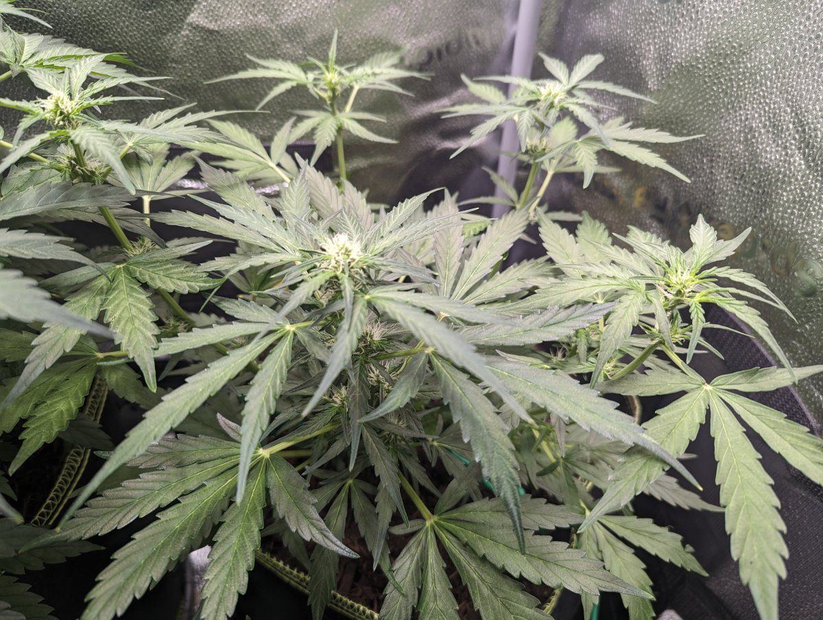 PXL 20240107 171741746
