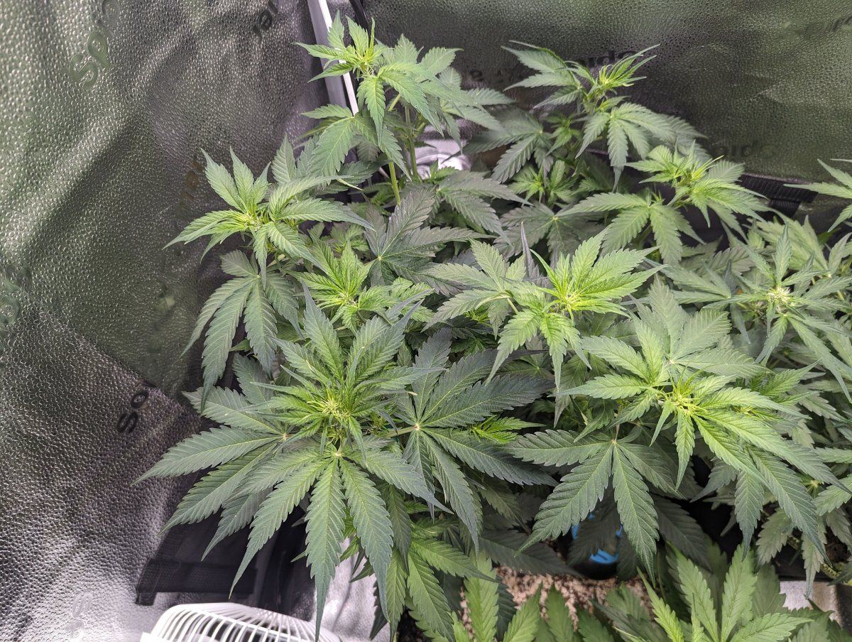 PXL 20240107 171748618