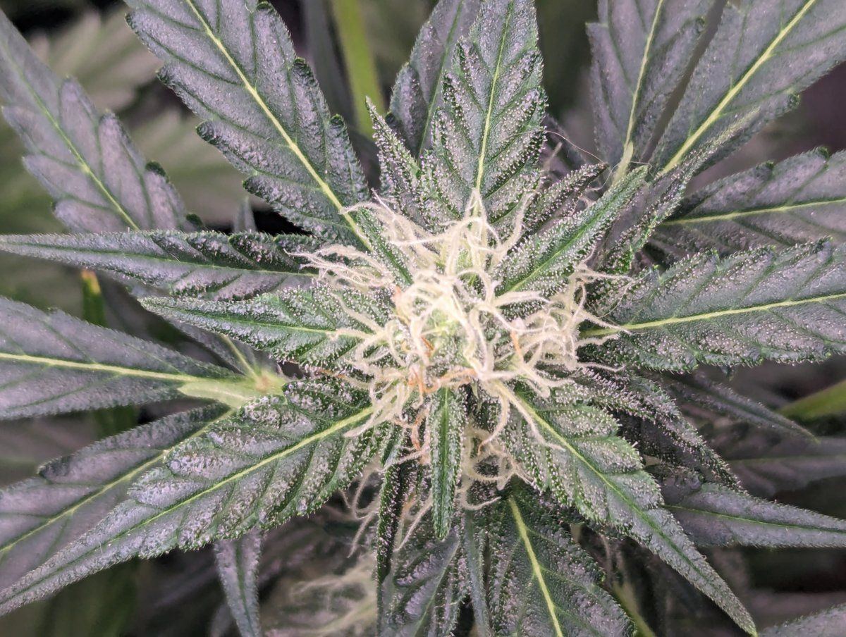 PXL 20240117 201101309