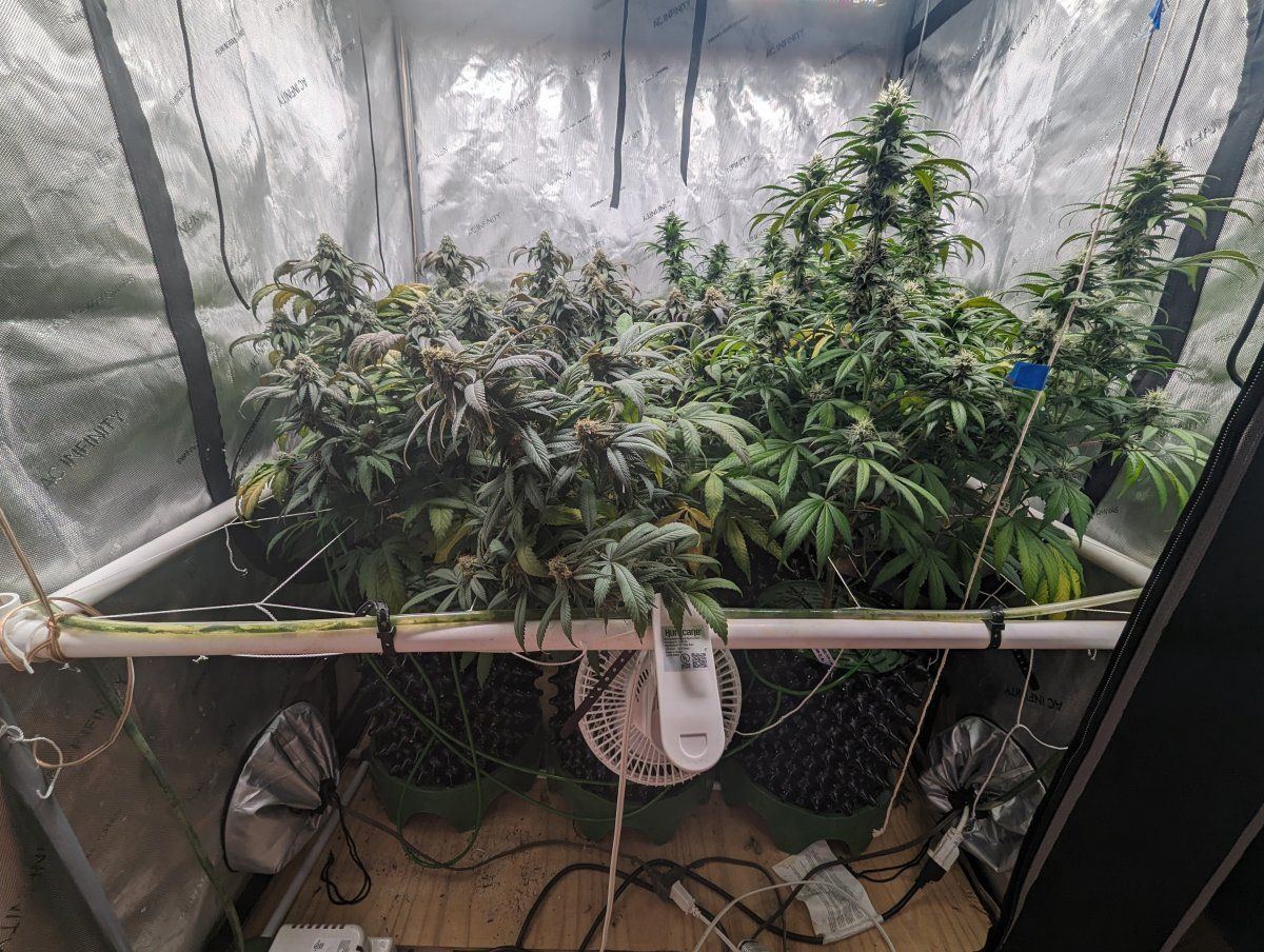 PXL 20240127 140913597