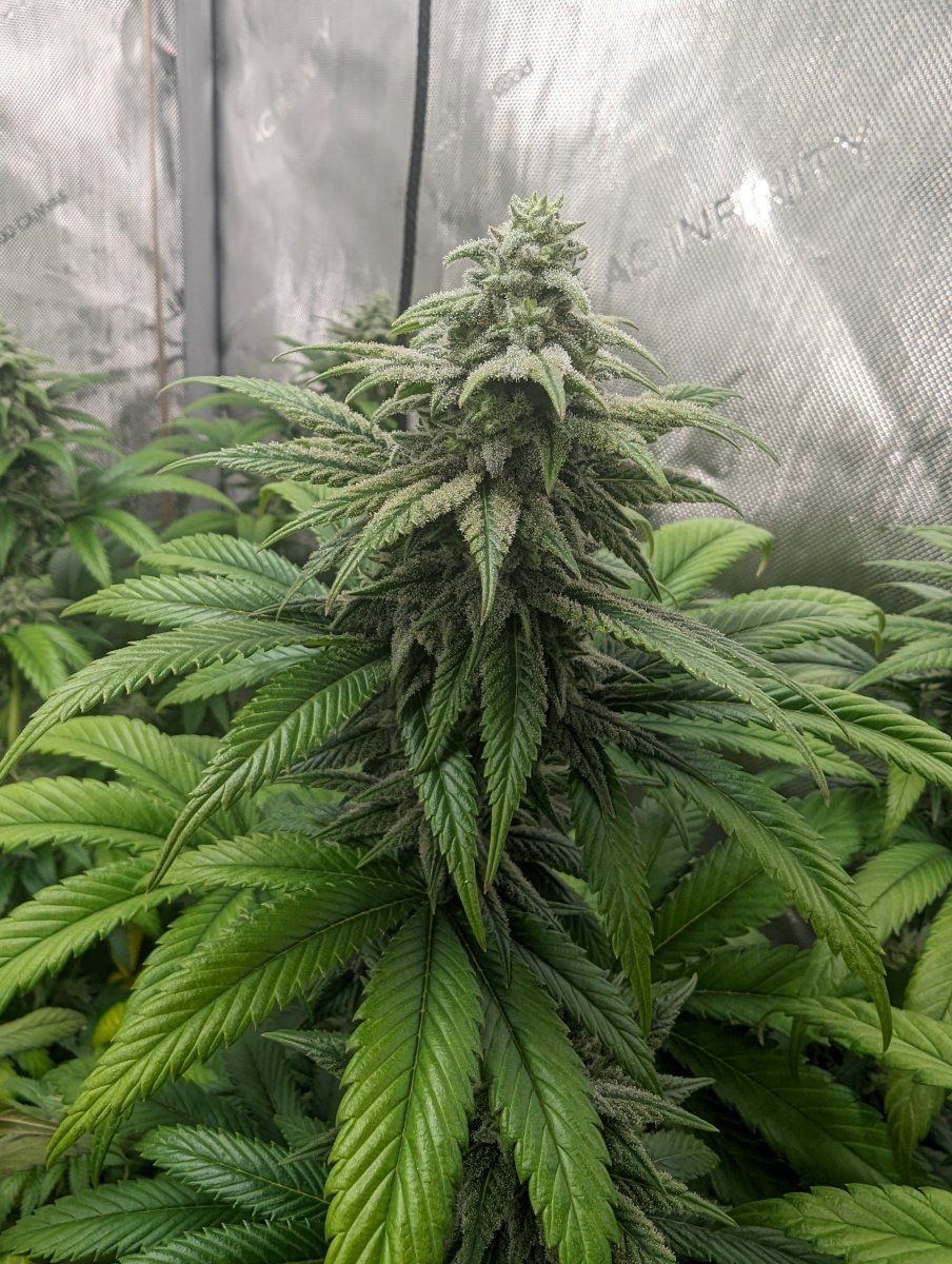 PXL 20240127 141012698