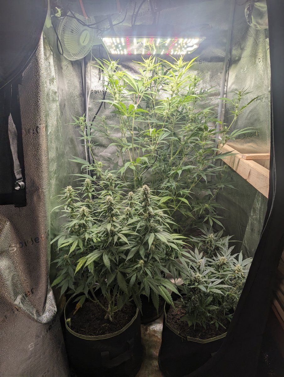 PXL 20240130 180929420