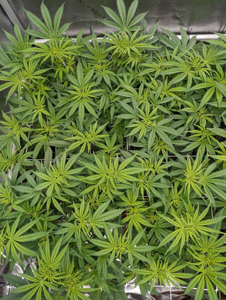 PXL 20240207 125659750