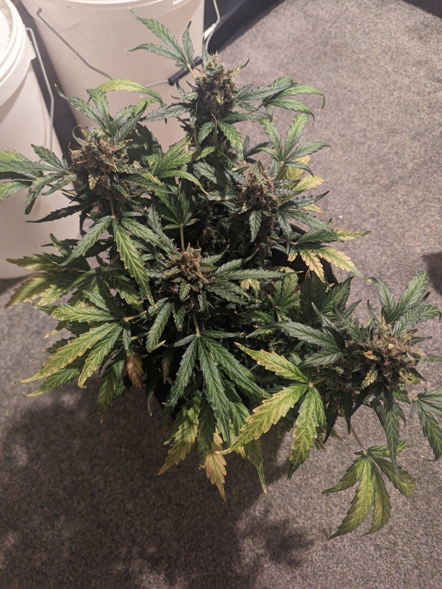 PXL 20240301 164952713