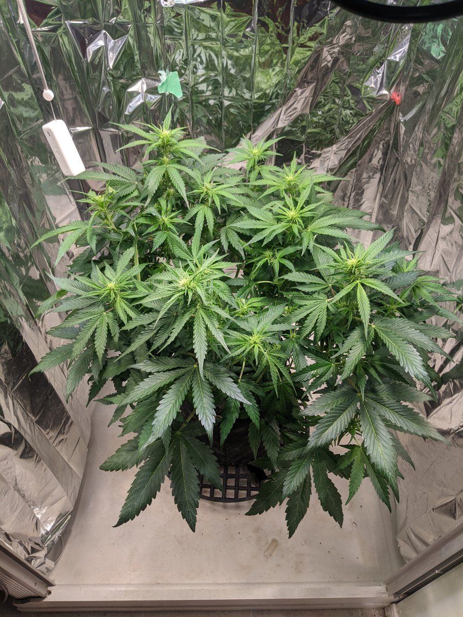 PXL 20240409 190808901