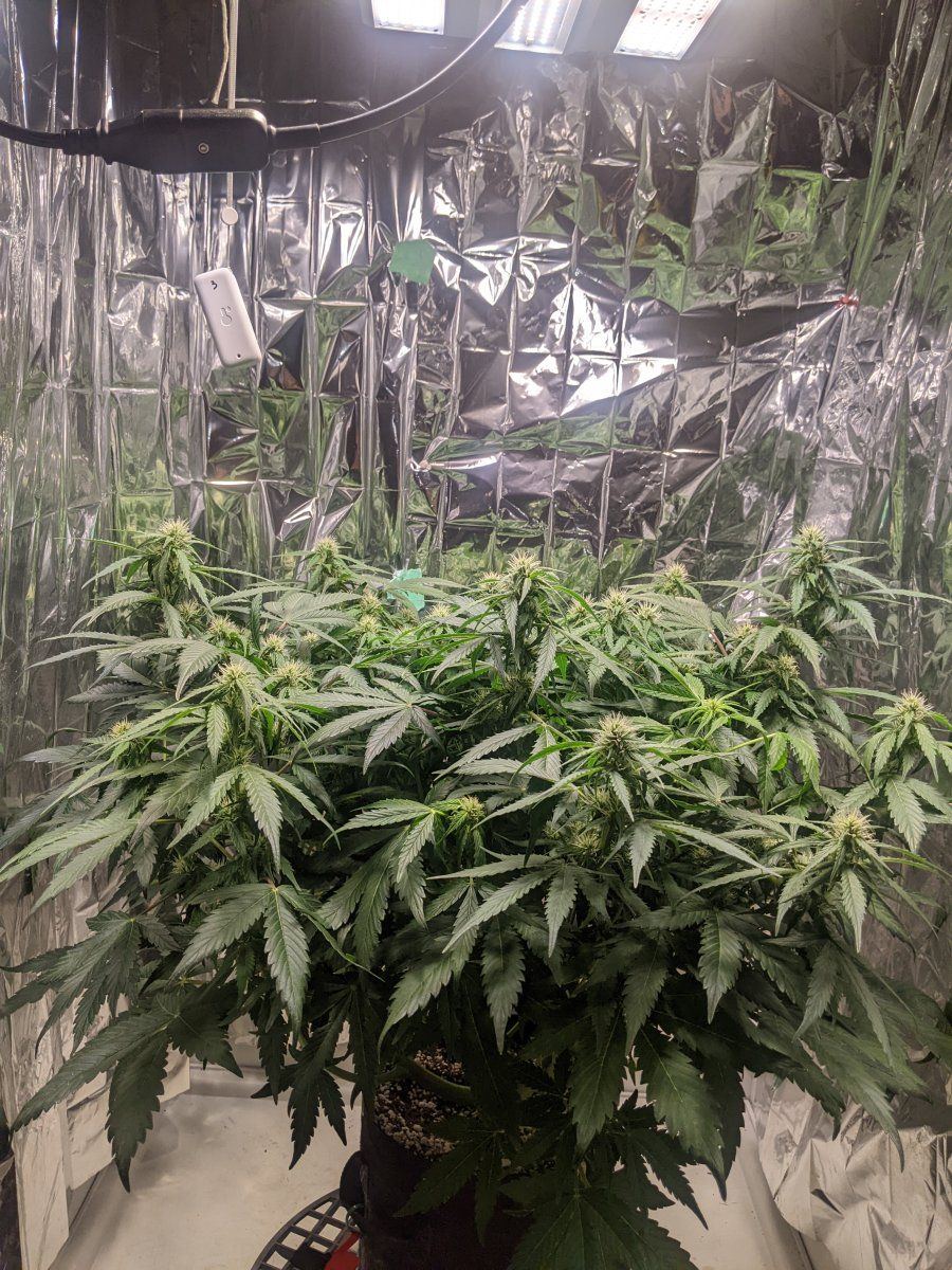 PXL 20240418 161715108