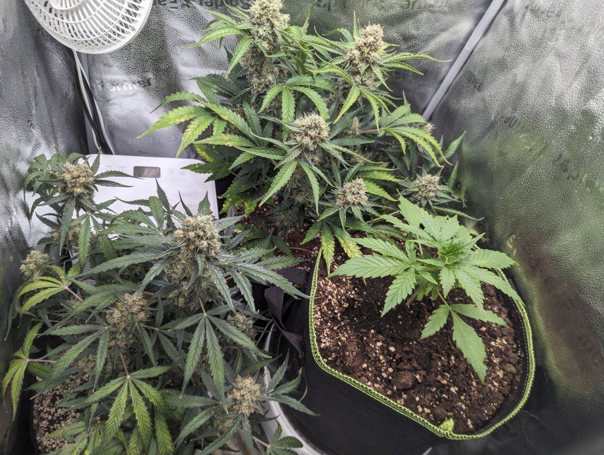 PXL 20240423 113914850