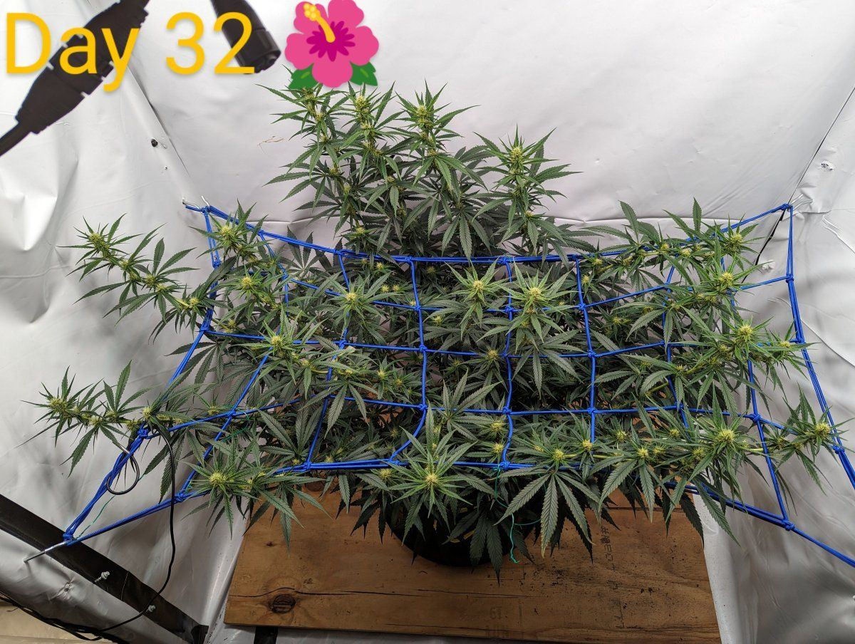PXL 20240504 1633596452