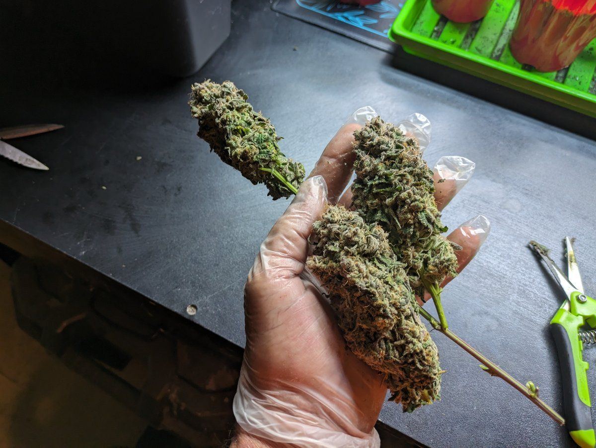PXL 20240506 201259764